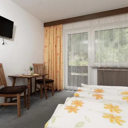 Haus Alpengruss 3* Зёльден